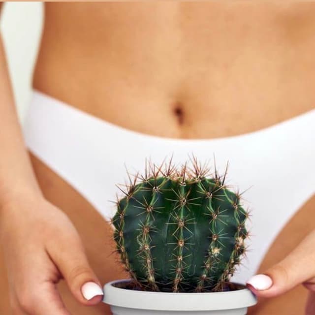 Brazilian wax Package at Aesthetically Ellie in Granite Shoals, TX
